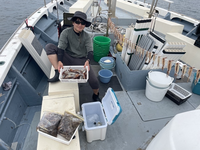 ムギイカ(スルメイカ)