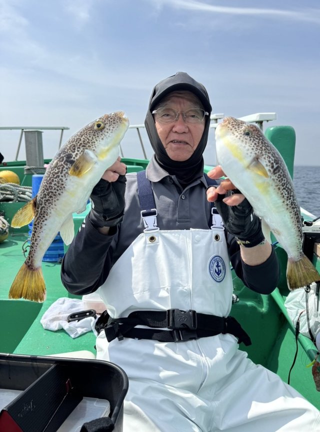 ショウサイフグ