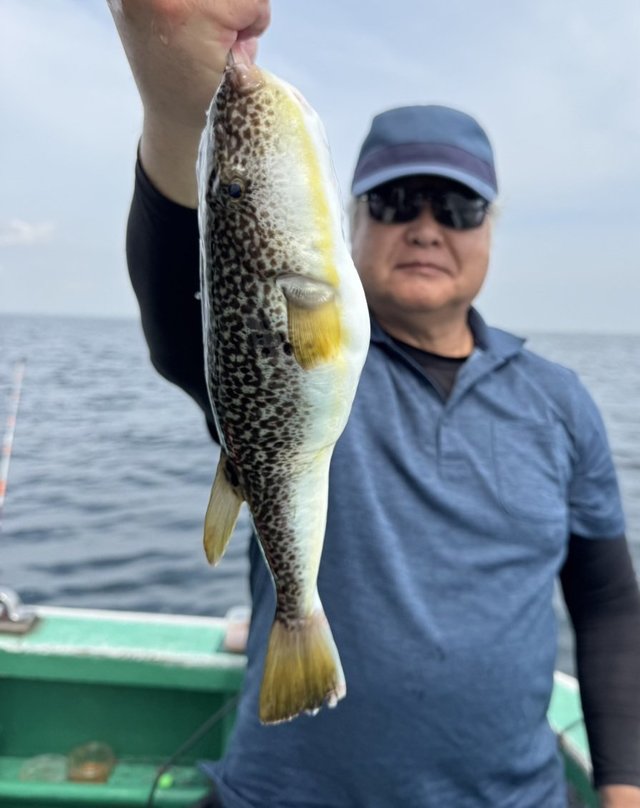 ショウサイフグ