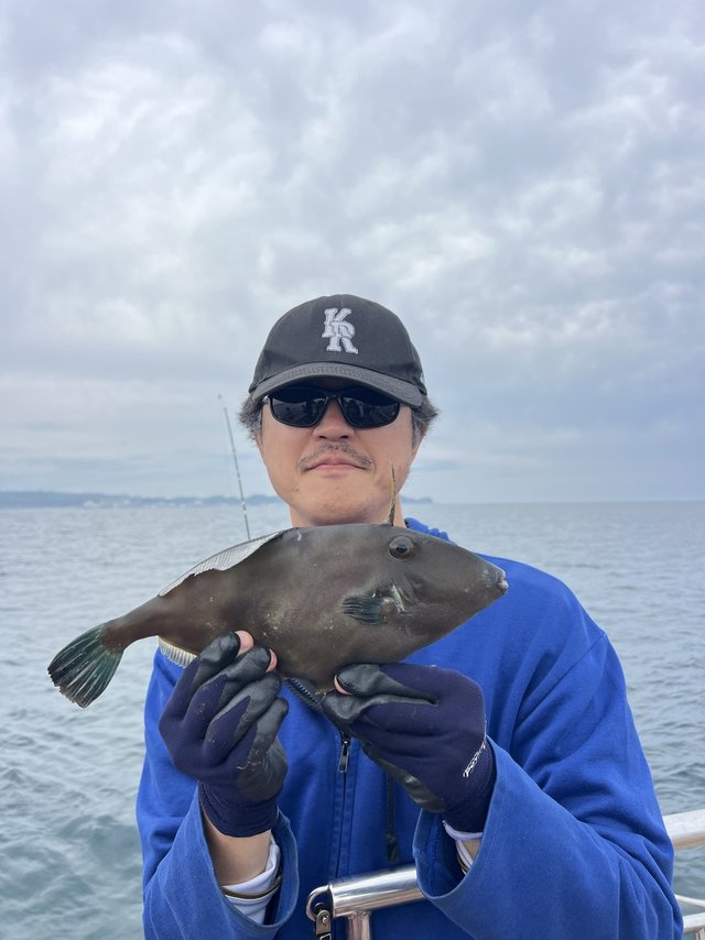 ウマズラハギ(ウマヅラハギ)