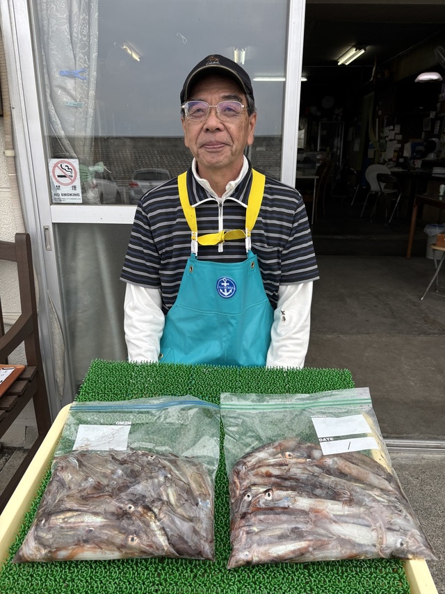 ムギイカ(スルメイカ)