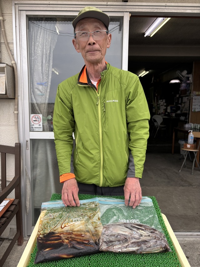 ムギイカ(スルメイカ)