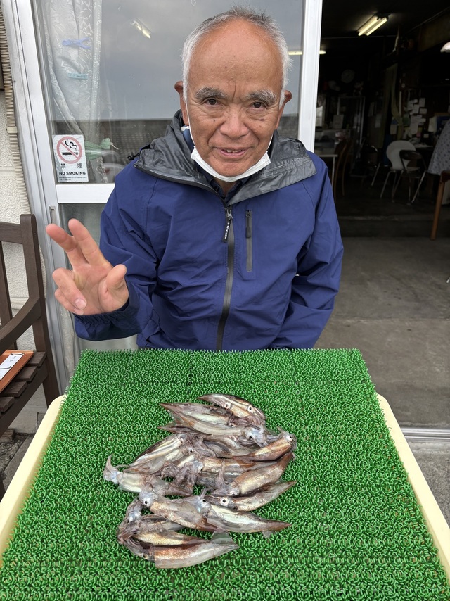 ムギイカ(スルメイカ)