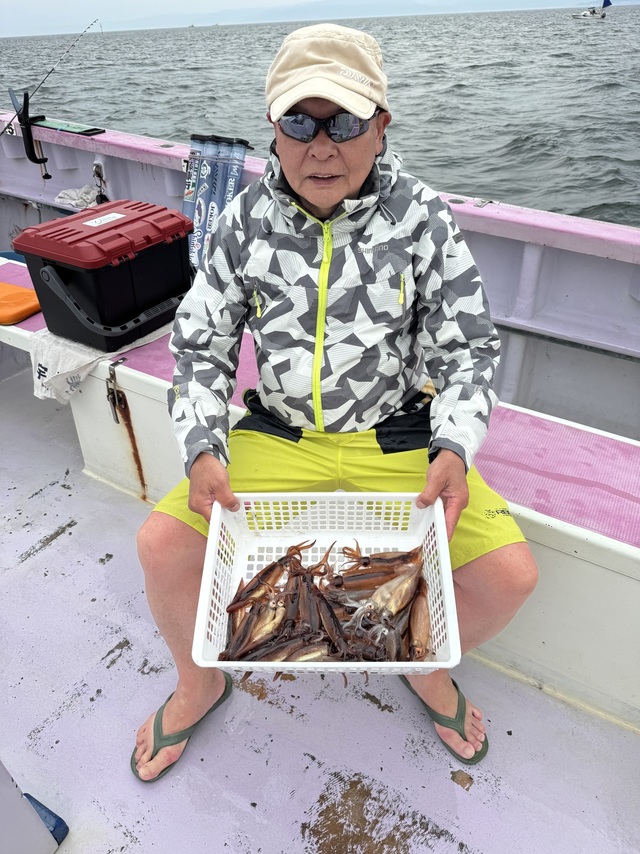 ムギイカ(スルメイカ)