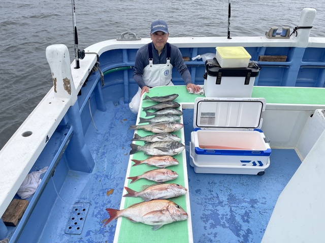 マダイ・クロダイ・メジナ