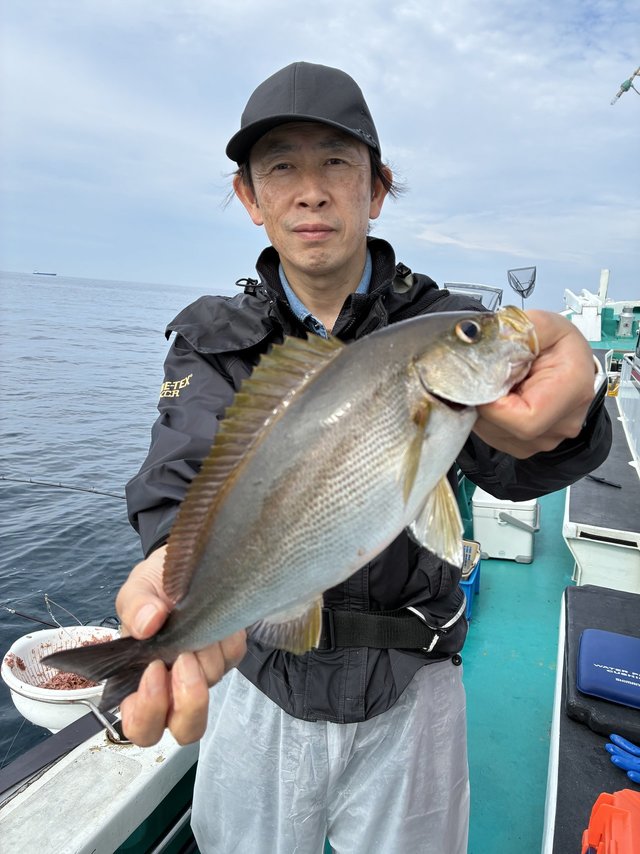 イサギ(イサキ)