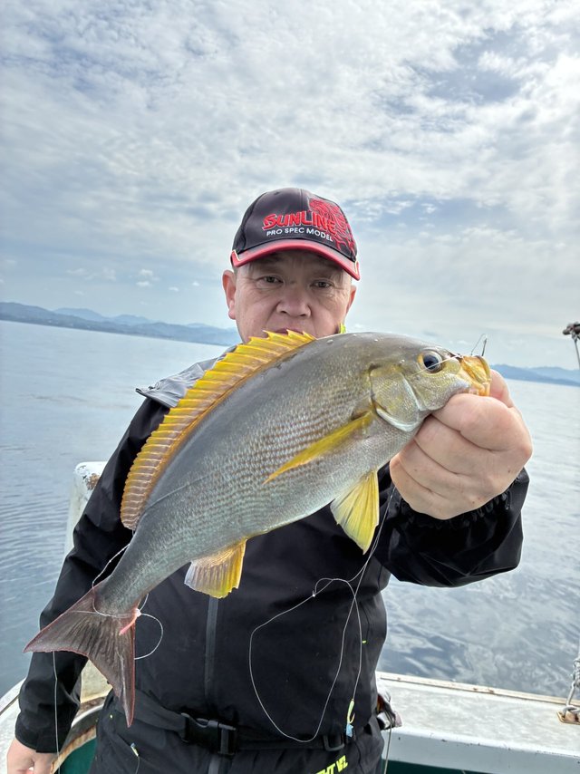 イサギ(イサキ)