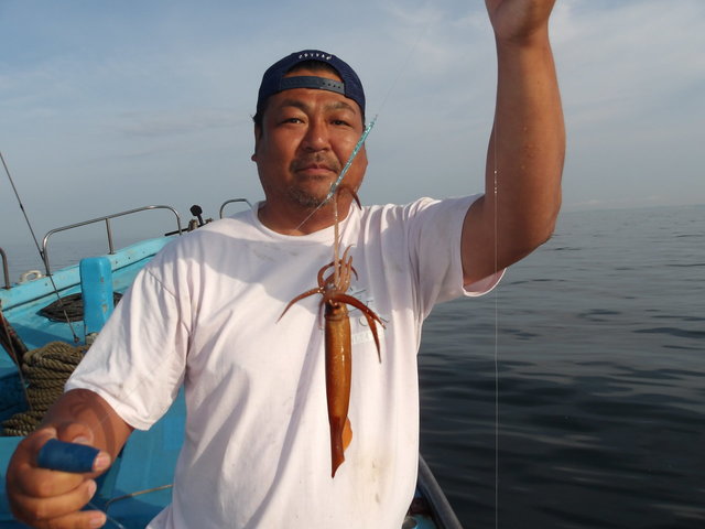 ムギイカ(スルメイカ)