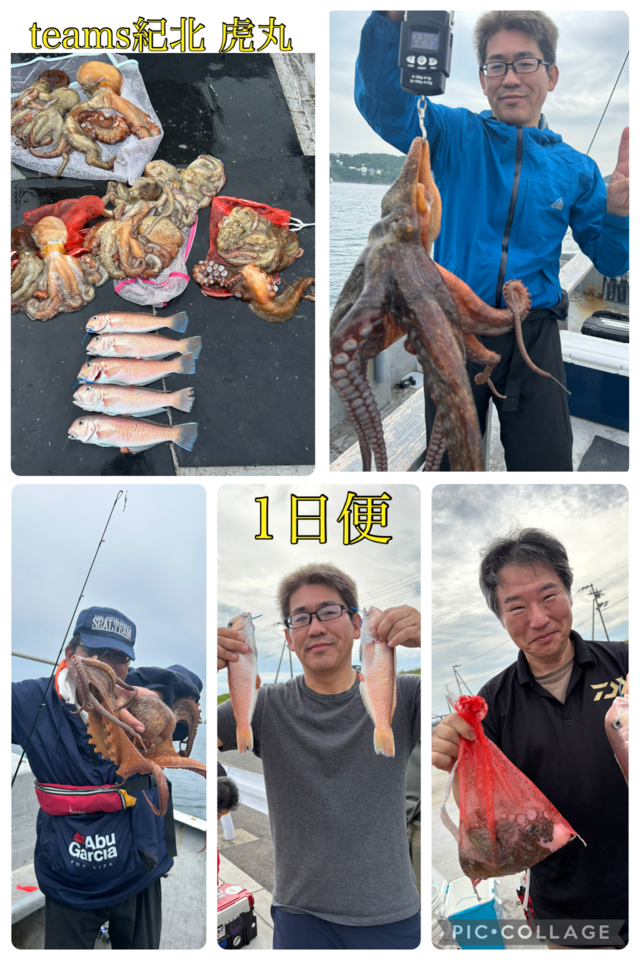 シロアマダイ・タコ(マダコ)