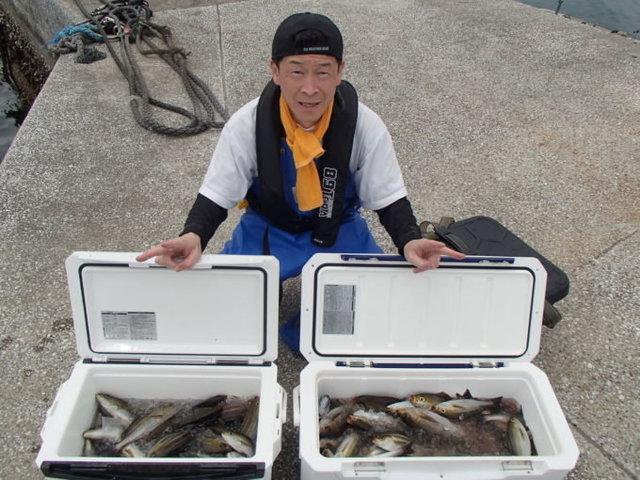 マアジ・イサキ