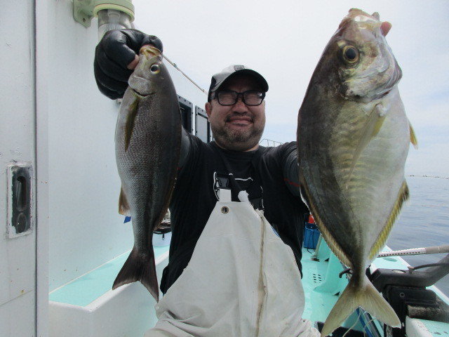 カイワリ・イサキ