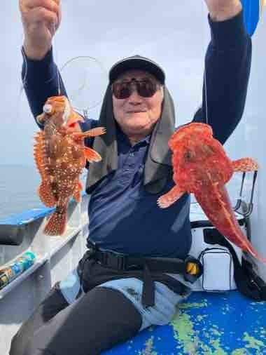 オニカサゴ・カンコ(ウッカリカサゴ)