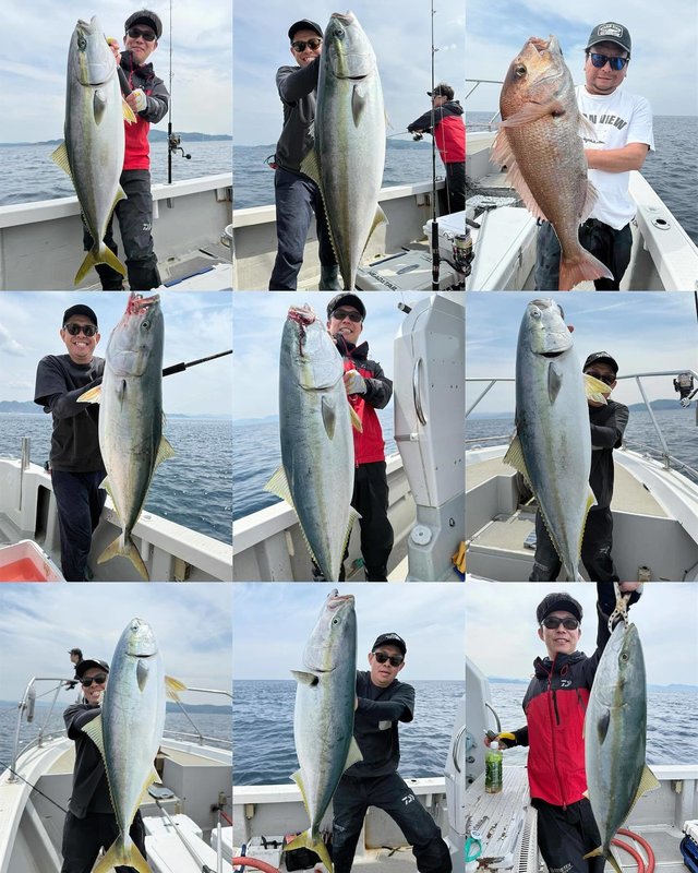 マダイ・ブリ・メジロ(ブリ)