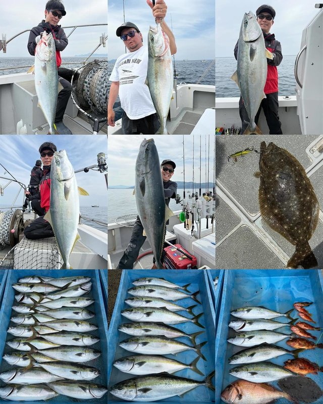 マダイ・ブリ・メジロ(ブリ)・ガシラ(カサゴ)・ヒラメ