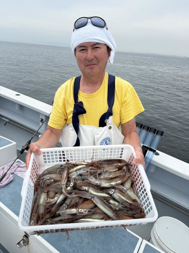 ムギイカ(スルメイカ)