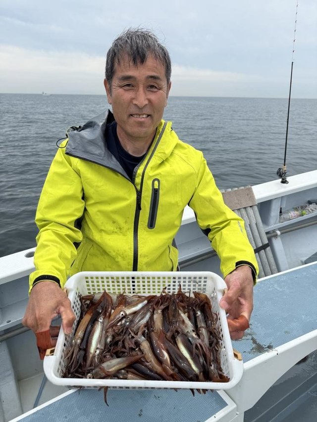 ムギイカ(スルメイカ)