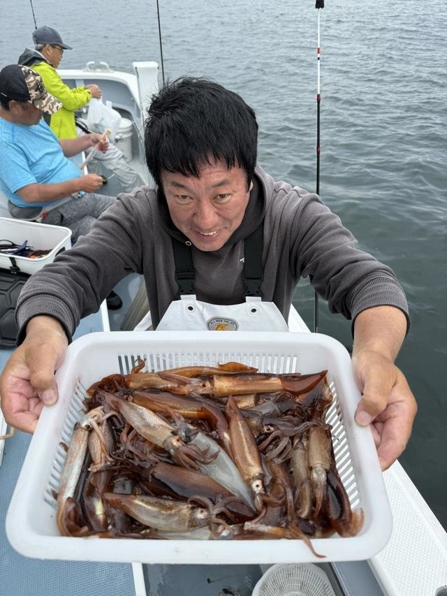 ムギイカ(スルメイカ)