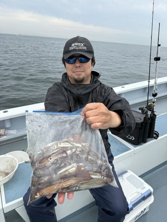 ムギイカ(スルメイカ)