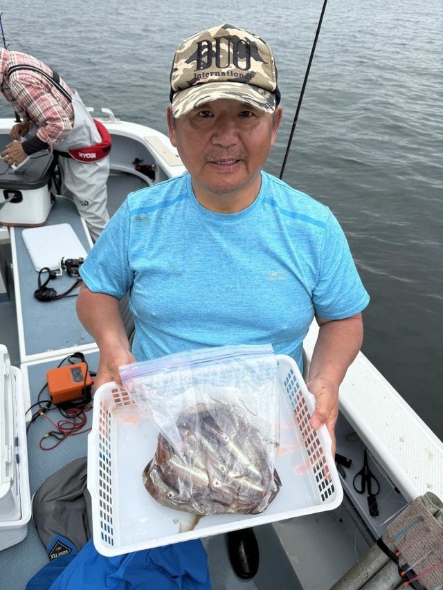 ムギイカ(スルメイカ)