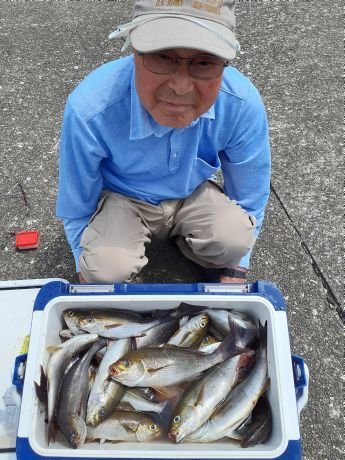 アジ(マアジ)・イサキ