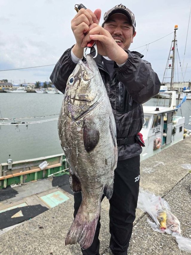 イシナギ(オオクチイシナギ)