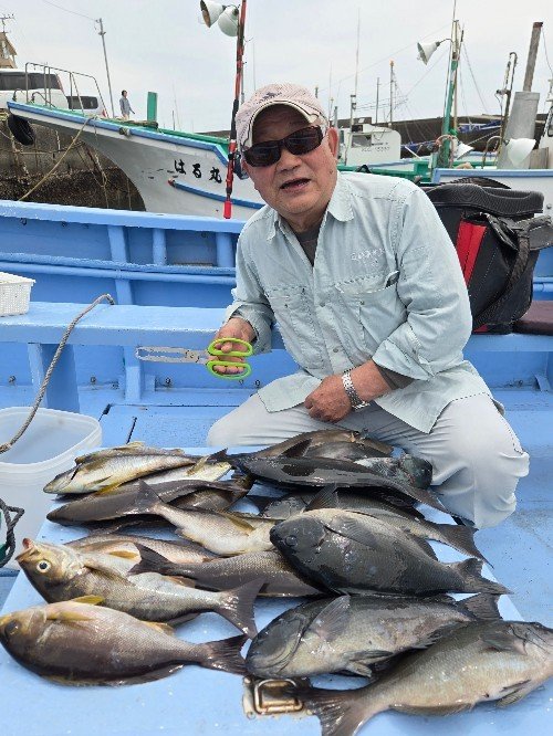 メジナ・イサキ