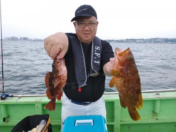 キジハタ・カサゴ