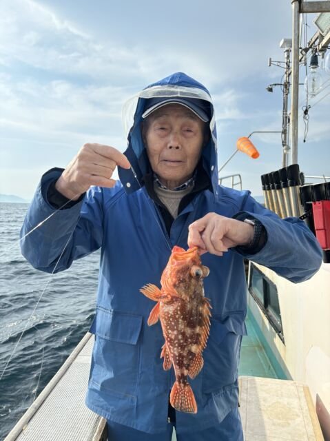 ガシラ(カサゴ)