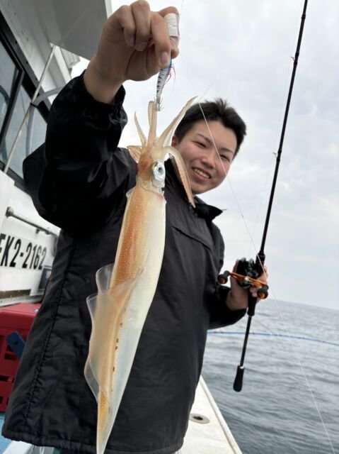 マイカ(ケンサキイカ)