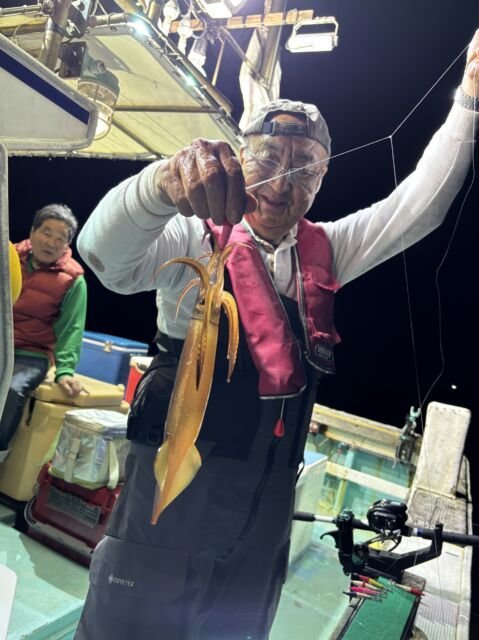 マイカ(ケンサキイカ)