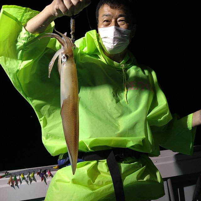 ケンサキ(ケンサキイカ)