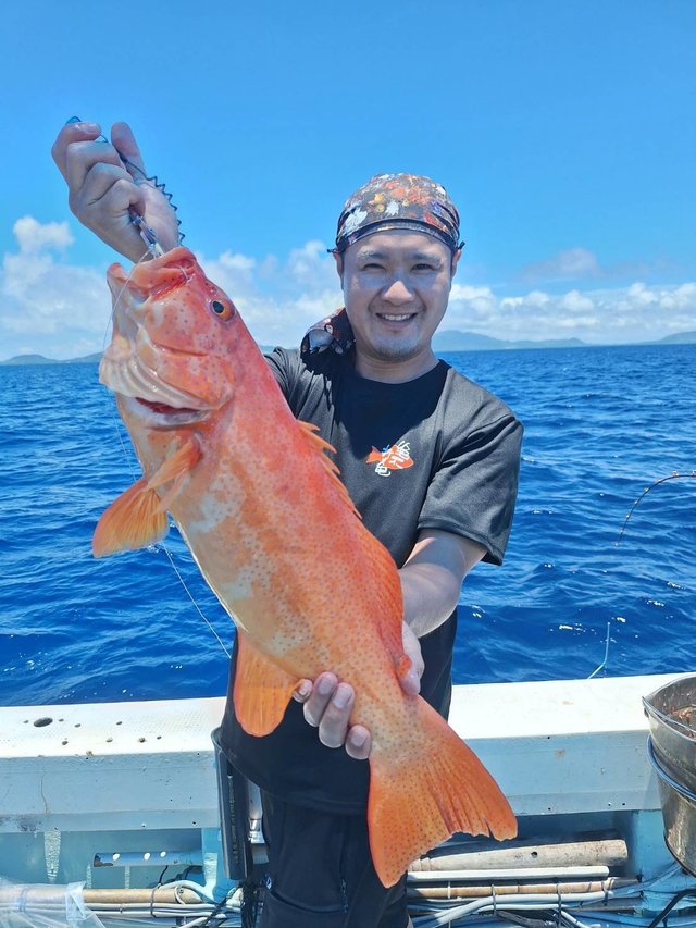 アカジン(スジアラ)