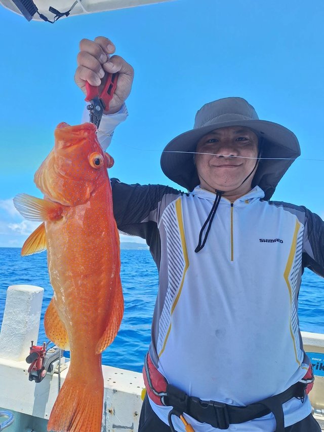 アカジン(スジアラ)