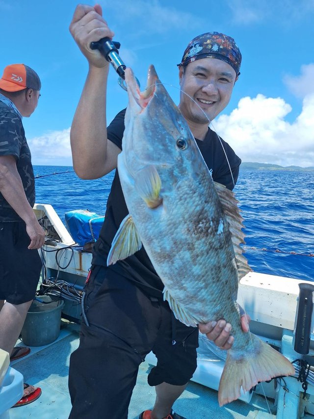 フエフキ(ハマフエフキ)