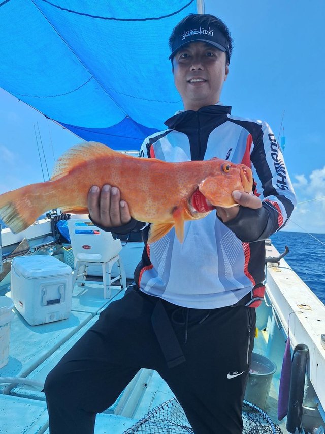 アカジン(スジアラ)