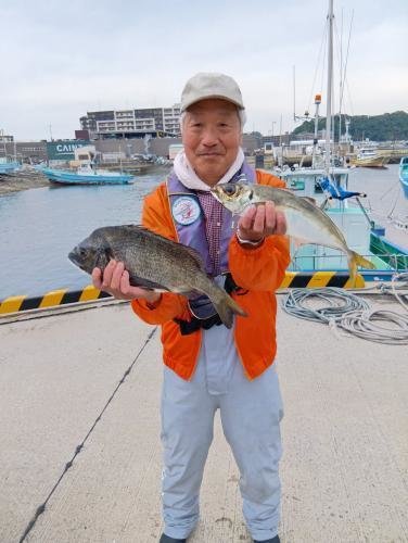 クロダイ・アジ(マアジ)