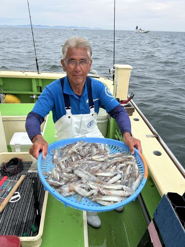 ムギイカ(スルメイカ)