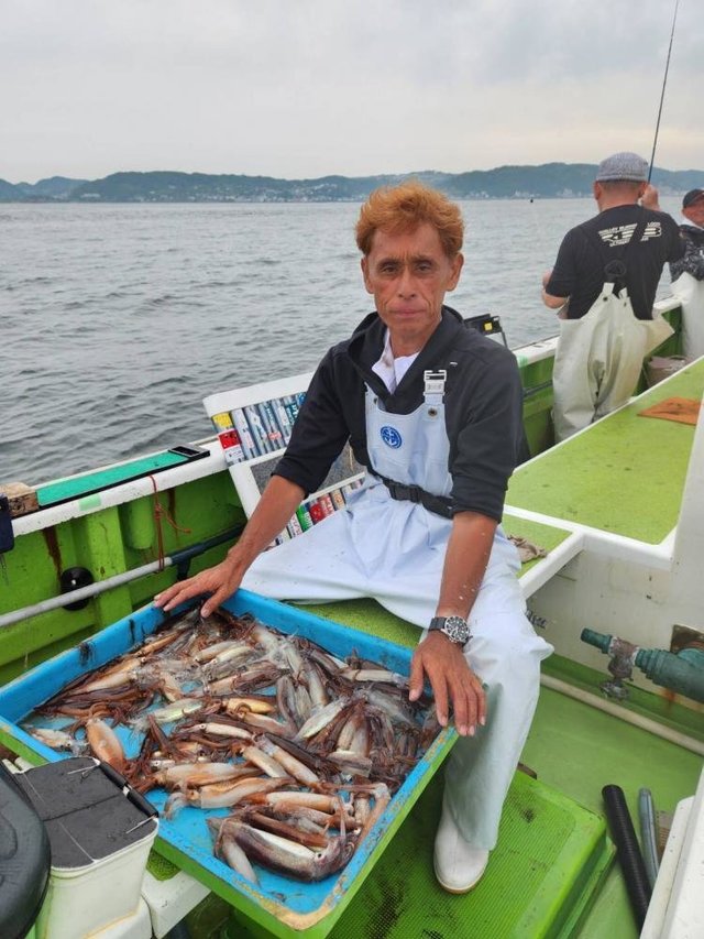 ムギイカ(スルメイカ)