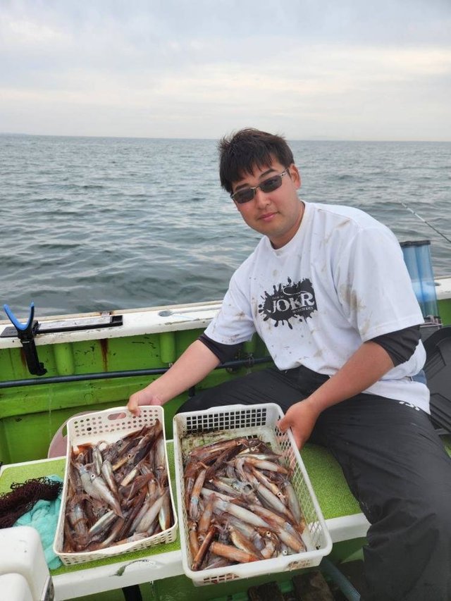 ムギイカ(スルメイカ)