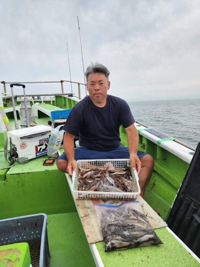 ムギイカ(スルメイカ)