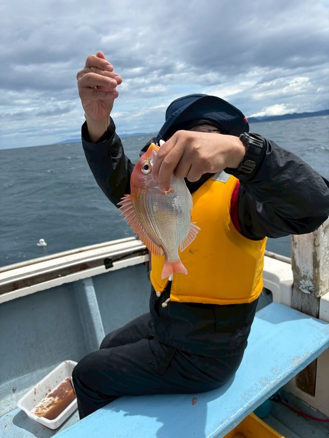 レンコダイ(キダイ)