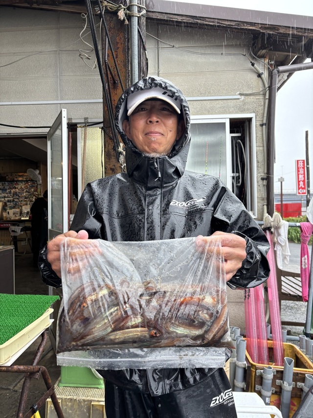 ムギイカ(スルメイカ)