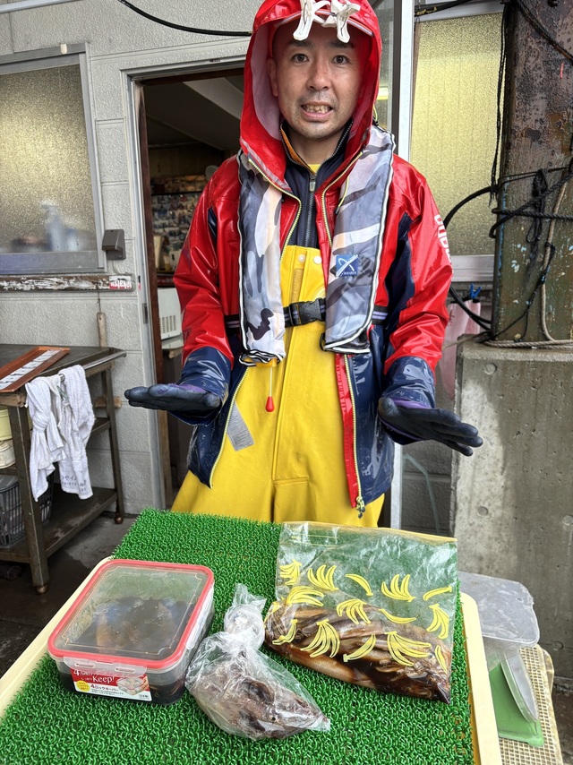 ムギイカ(スルメイカ)