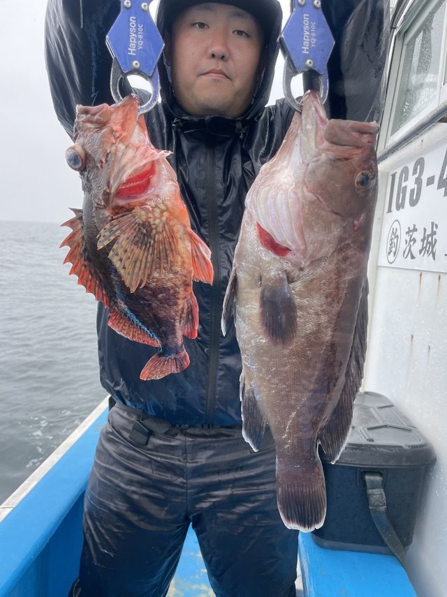 マハタ・カサゴ