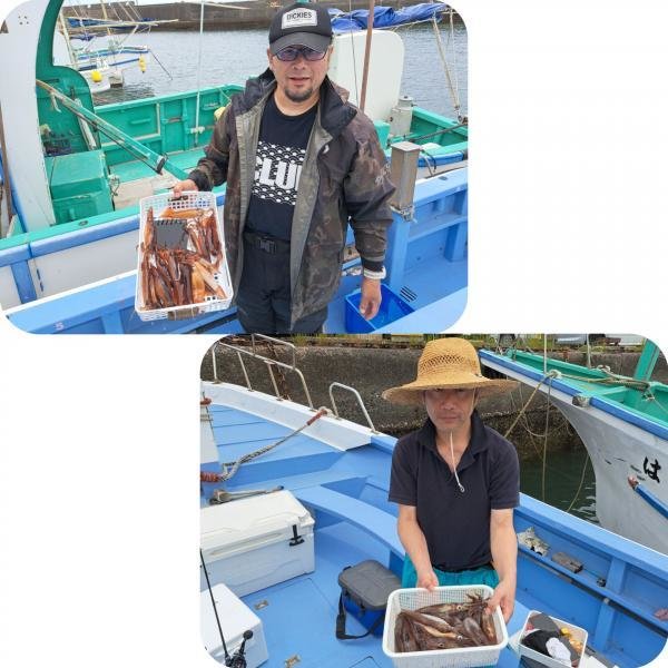 ムギイカ(スルメイカ)