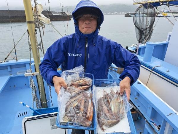 ムギイカ(スルメイカ)