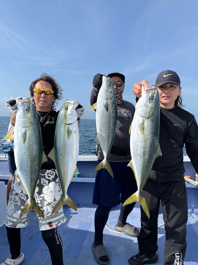 サンパク(ブリ)