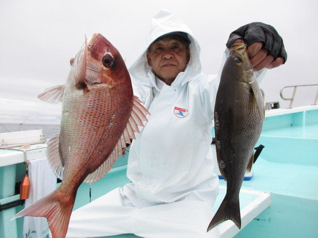 マダイ・イサキ