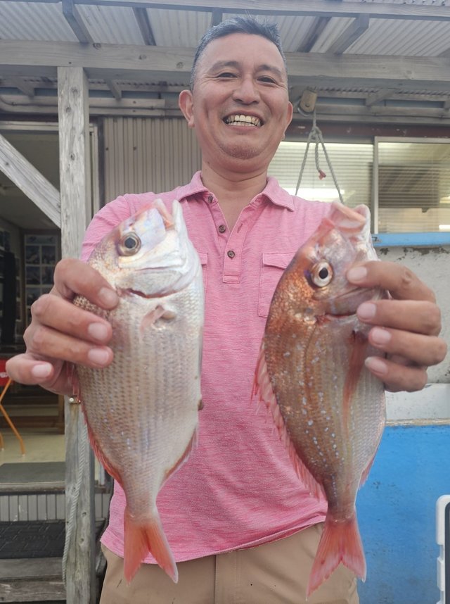 ハナダイ(チダイ)