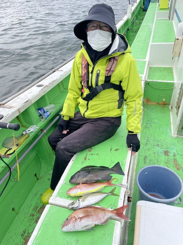 マダイ・メジナ・アジ(マアジ)・イトヨリ(イトヨリダイ)